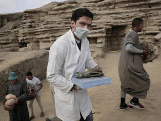 Zvláštny pohľad: Egyptskí vedci objavili desiatky  mumifikovaných mačiek