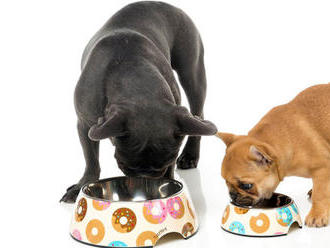 Dizajnové misky pre psov FuzzYard s vložkou z nehradzavejúcej ocele, bez obsahu BPA