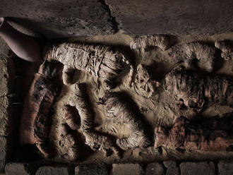 Vedci objavili v hrobkách desiatky mumifikovaných mačiek