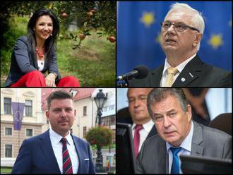 Najkurióznejšie situácie vo voľbách: Zrušený Facebook, mylný výsledok či rekordér v Štrbe