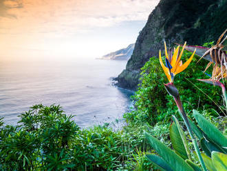 Súostrovie Madeira: Jedno z posledných miest v Európe, ktoré si zachovalo panenskú prírodu