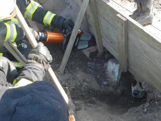 Z díry pod chodníkem vyprostili jindřichohradečtí hasiči psa
