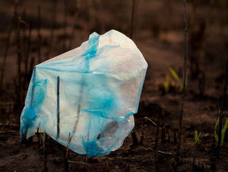 Čeští vědci zjistili, že bioplasty se v přírodě nerozkládají a mohou být nebezpečné