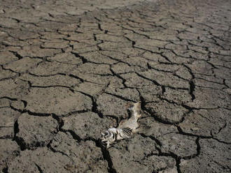 Vlaňajšie sucho ohrozuje zamestnanosť, podniky žiadajú o pomoc
