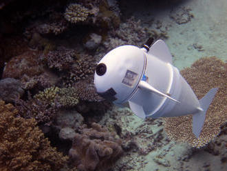 Vedci vyvinuli efektnú a efektívnu robotickú rybu