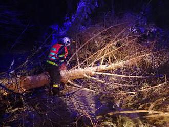 Moravskoslezští hasiči v noci odklízeli několik desítek stromů, pokračují i po celou neděli