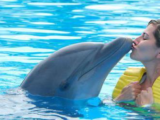 Zájazd do Delfinária, ZOO v Norimbergu a atraktívna show delfínov