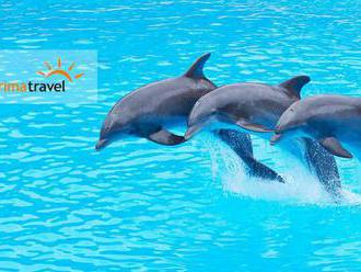 Delfinárium, úžasná show s delfínmi a návšteva ZOO v Norimbergu pre celú rodinu na 3-dňovom zájazde.