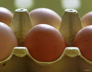 Hydinári: Vajcia vydržia 28 dní, nemožno ich nikdy umývať