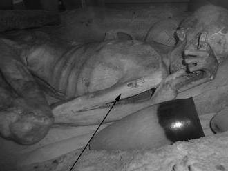 Vedci objavili na egyptských múmiách tetovania