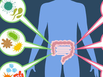 Probiotiká: Nech sa to v črevách hemží