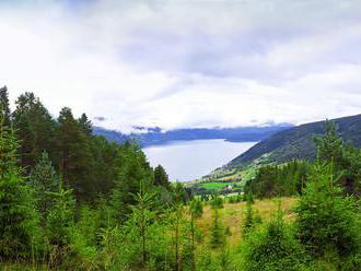 Nórske stromy poškodili chemikálie, ktoré používali nacisti