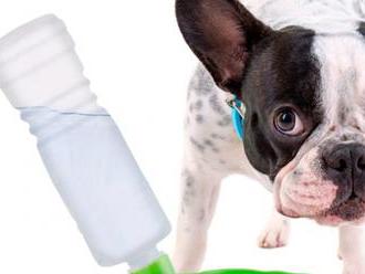 Prenosná miska na vodu s fľašou pre zvieratá Pet Prior, a môžete ísť aj na výlet!