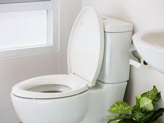 Pět tipů, jak zútulnit toaletu
