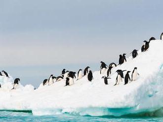 Roztápanie sa Antarktídy napreduje alarmujúcim tempom, varujú vedci