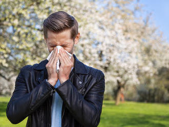 Chladnejšie počasie so zrážkami uľahčí život alergikom na peľ