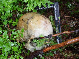 Turistov prekvapil strašný nález: FOTO Lebka v lese pri obci Štrba
