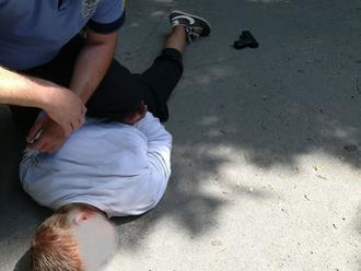 Opitý zlodej   strieľal v senickom parku: FOTO Pohotový zásah mestských policajtov