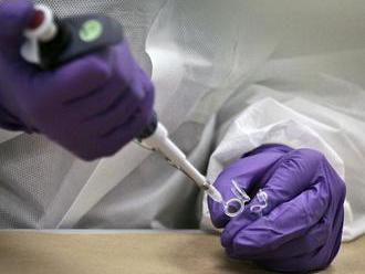 Nemeckí hygienici bojujú opäť s norovírusmi. Tentoraz v Durínsku