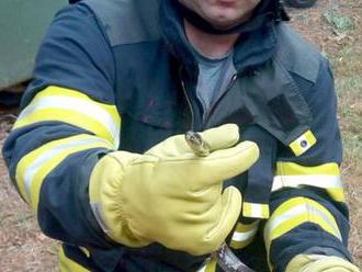 O pomoc při odchytu hada ze stromu v sokolovské ulici Karla Čapka požádala městská policie v…