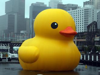 Today I learned: Duck.com redirects to Google, much to DuckDuckGo's annoyance     - CNET