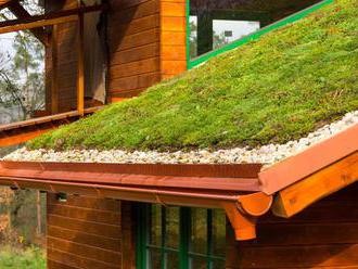 Zelená střecha sluší altánům i psím boudám