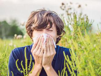 Hrozí ľuďom alergia z GMO?