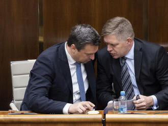 Zmenou vlády vznikla špecifická situácia, povedal Danko. Spomenul Radičovej kabinet
