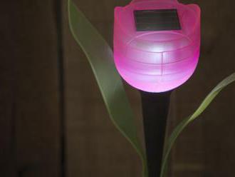 LED solárna lampa v tvare tulipánu 30 cm. Osvetlite si záhradu touto výnimočnou ozdobou.