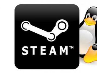 Steam vyvíjí funkci Steam Play, která zpřístupní nejnovější hry pro Linux