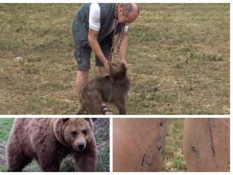 Krvavý útok medveďa: FOTO Ján bol so psom na hubách, šelme vošiel do teritória, pes len štekal