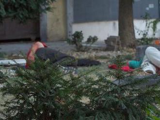 Šokujúce zábery z centra Bratislavy: FOTO Muži súložili za bieleho dňa, otrasné zistenie