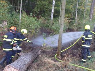 Čtyři jednotky hasičů likvidovaly požár suchého travního porostu v katastru Velkých Svatoňovic.…