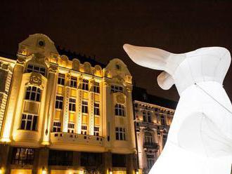 Biela noc v Bratislave ponúkne 44 umeleckých zastávok, MHD bude jazdiť častejšie