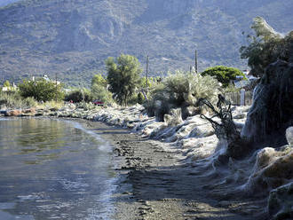 Strašidelné FOTO: Grécku pláž obalila megapavučina