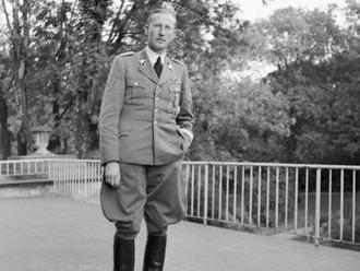 Kontrarozvědka ve zprávě o AfD zmiňuje i chválu Heydricha
