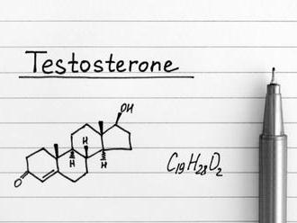 Testosterón - hormón mužstva