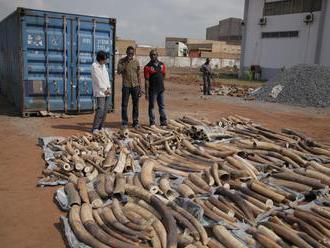 Úrady v Ugande zhabali 750 kusov slonoviny, zatkli dvoch Vietnamcov