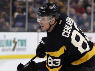 Peter Cehlárik má šancu na premiéru v aktuálnej sezóne NHL, Boston ho povolal do prvého tímu