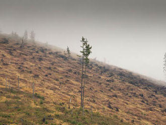 EÚ začala konanie proti Slovensku za nedostatočnú ochranu prírody