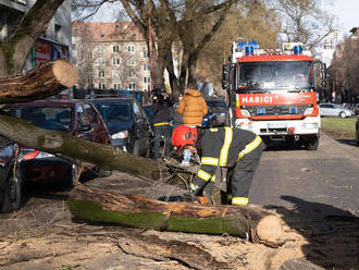 Na Košickej ulici v Bratislave spadol strom, blokovaný je smer na Most Apollo