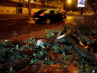 Na Košickej ulici v Bratislave spadol strom, blokovaný je smer na Most Apollo