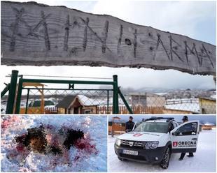 Hrôza pod Tatrami: FOTO Krvilačná svorka roztrhala poníky, v oddychovom rezorte vládne strach