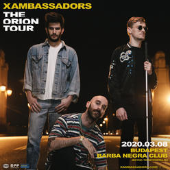 X Ambassadors 08.03.2020