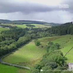 Skotsko vysadilo proti globálnímu oteplování 22 milionů stromů. Bude to nyní dělat každý rok