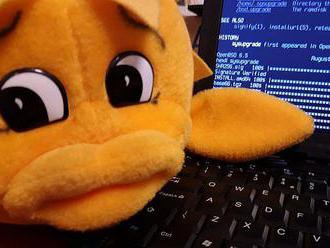 Vyšlo OpenBSD 6.6 s podporou nového hardware a utilitou sysupgrade