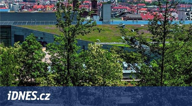 Střechy domů v českých městech se začínají zelenat. Západ ale drží náskok