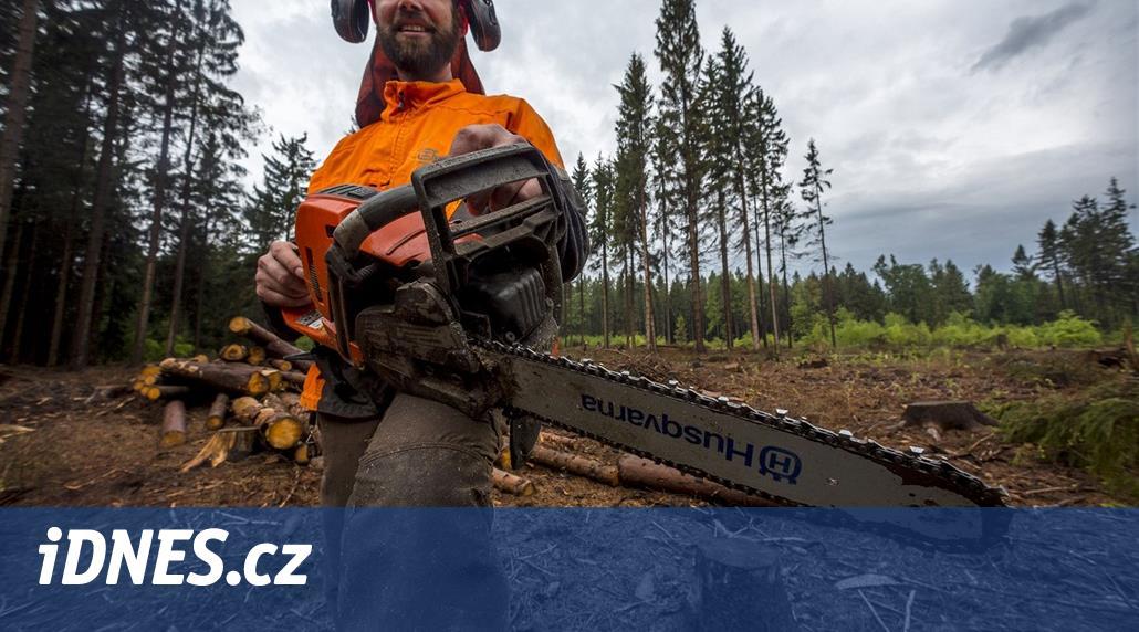 Do miliardového tendru Lesů ČR se přihlásilo 32 firem, o šest víc než loni