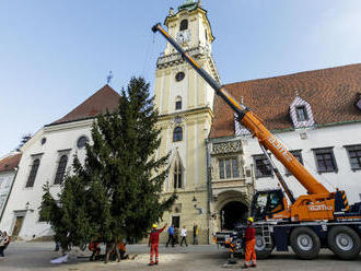 Na Hlavnom námestí v Bratislave už stojí 14-metrový vianočný stromček