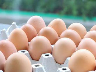 Hydinárom rastú náklady, plánuju zvyšovať ceny vajec i mäsa